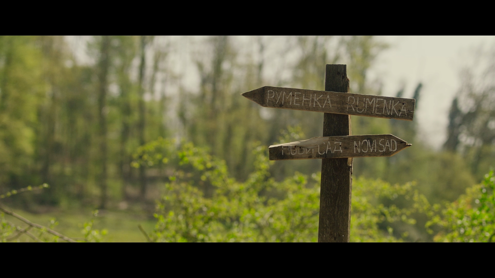 Calm In Refuge - Image 1